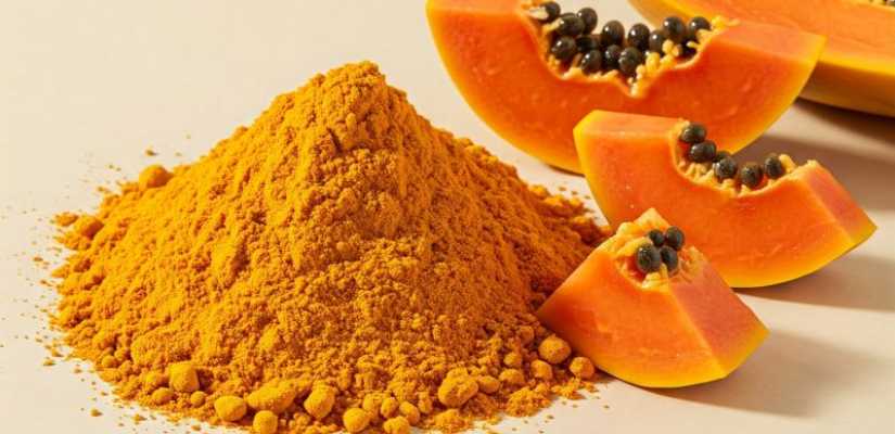 Papaya Powder Suppliers in Pune