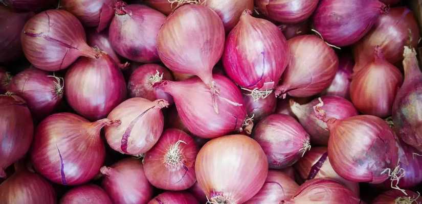 Onion Suppliers in Pune