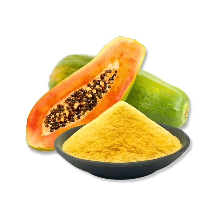 Papaya Powder Suppliers in Pune