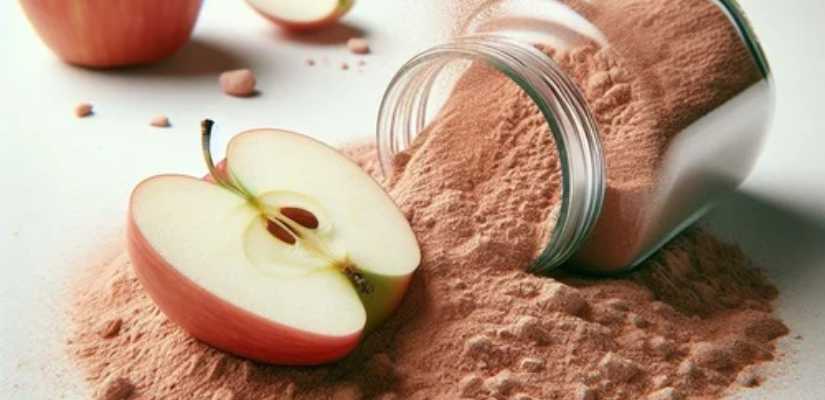 Apple Powder Suppliers in Pune